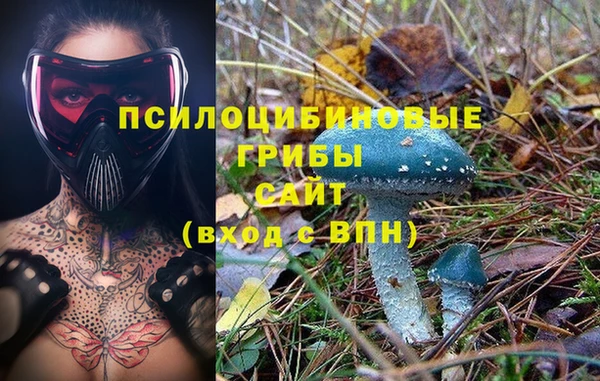 spice Волосово
