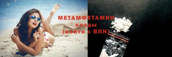 индика Бородино