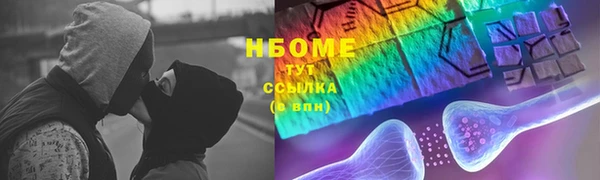 индика Бородино