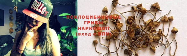 apvp Володарск