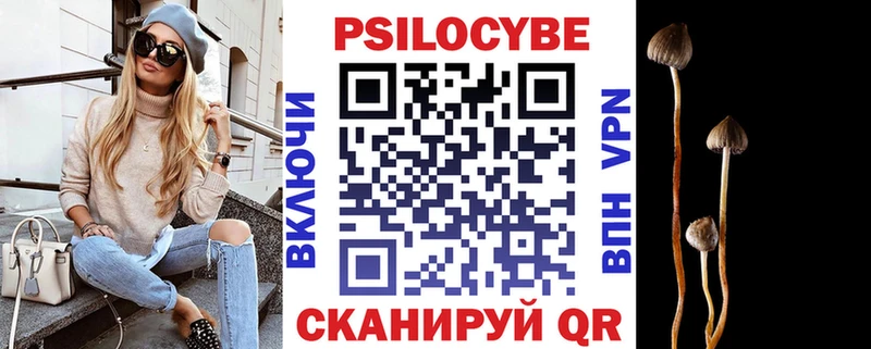 наркота  Енисейск  Псилоцибиновые грибы прущие грибы 